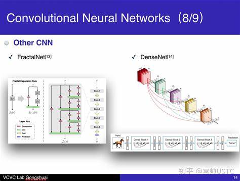 卷积神经网络结构示意图