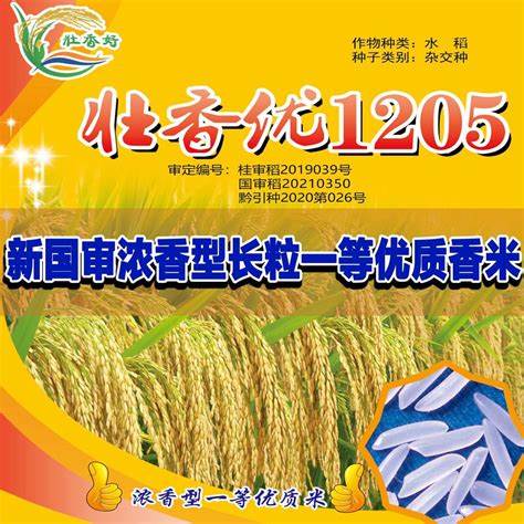 臻两优8612水稻品种米质简介