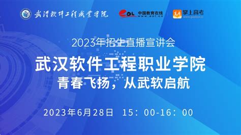 武汉软件工程职业学院各专业在重庆录取分数线_2024年更新 - 掌上高考