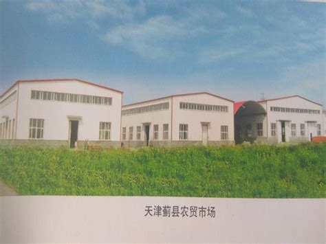 天津蓟县农贸市场-河北安正钢结构工程有限公司阜城分公司