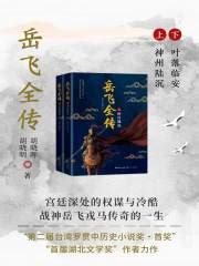 岳飞全传（全集）(胡晓明 胡晓晖)全本在线阅读-起点中文网官方正版