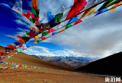 为什么感冒不能去西藏 西藏高原反应怎么办_旅泊网