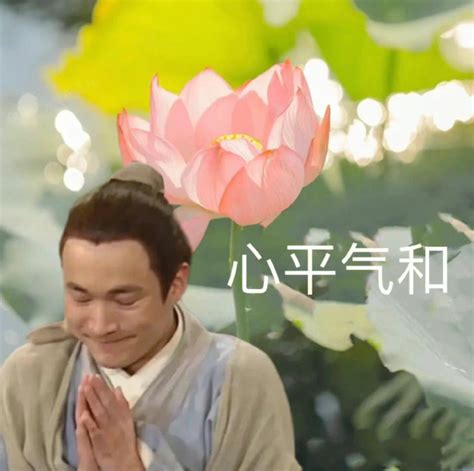 秀才表情包图片