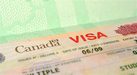哪三类人申请加拿大签证的拒签率最高 | 保了吗