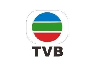 香港TVB无线电视台logoPNG图片素材下载_图片编号qamgjraq-免抠素材网