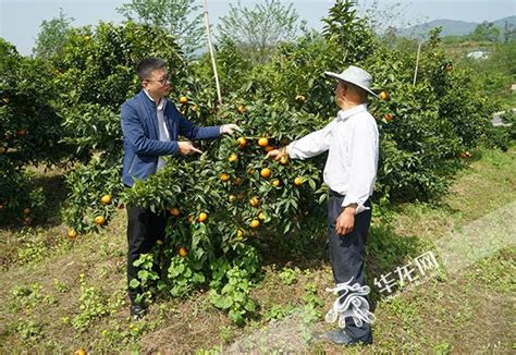 运河文化长廊景点介绍,里运河文化长廊景区(第7页)_大山谷图库