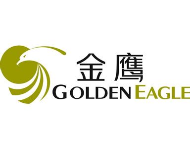 金鹰网标志logo设计,品牌vi设计