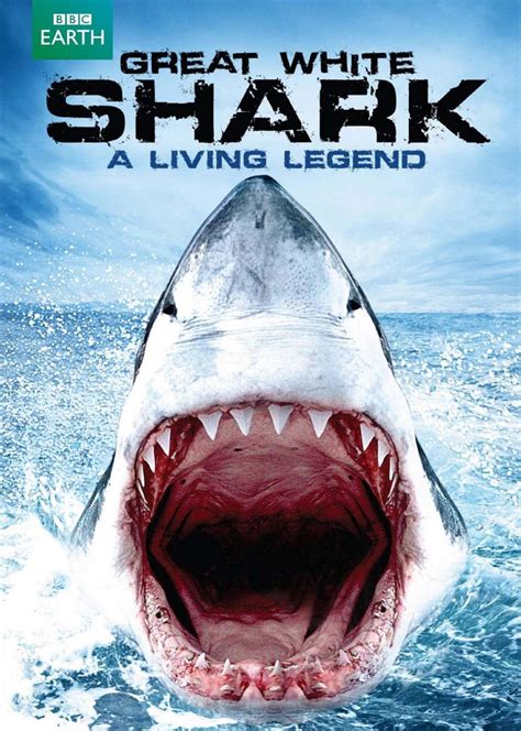 《大白鲨3》全集-高清电影完整版-在线观看