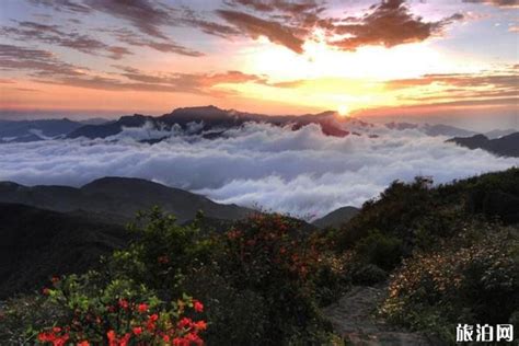 大晴天旅行网 - 姑婆山国家森林