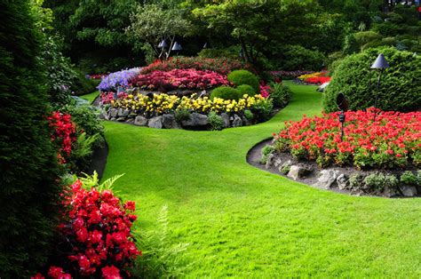 公园花卉植物风景摄影高清图片 - 三原图库