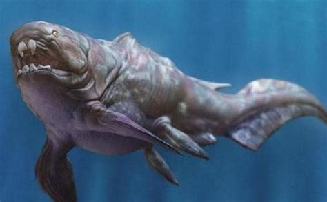 史前十六大海洋巨兽，他们才是真正的海怪！