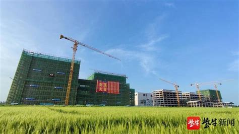 扬州市委书记张宝娟：加快重大工程建设，加强项目规划谋划凤凰网江苏_凤凰网