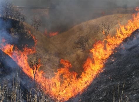 澳大利亚山火烧了七周 会烧到2021年？-澳大利亚山|火烧|了|快资讯-鹿科技