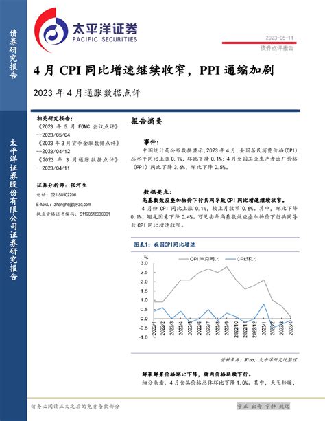 2021年中国CPI与PPI的上升指数分析-三个皮匠报告