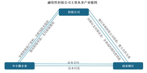 中国融资性担保行业发展趋势分析与投资前景预测报告（2022-2029年）_蓝图人