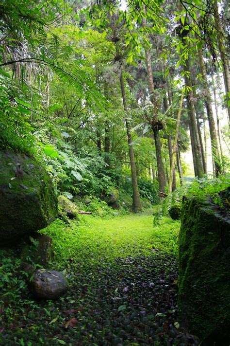 Stunning photos of Xitou Nature Education Area in Taiwan | BOOMSbeat