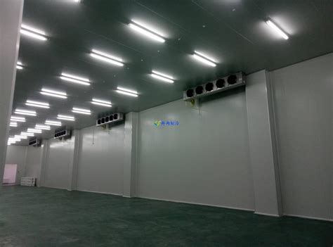 大型物流仓储生鲜电商冷库设计安装_上海雪艺制冷科技发展有限公司