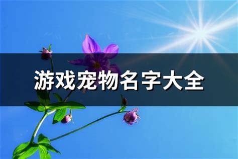 游戏宠物名字大全(共385个)-淘名吧网