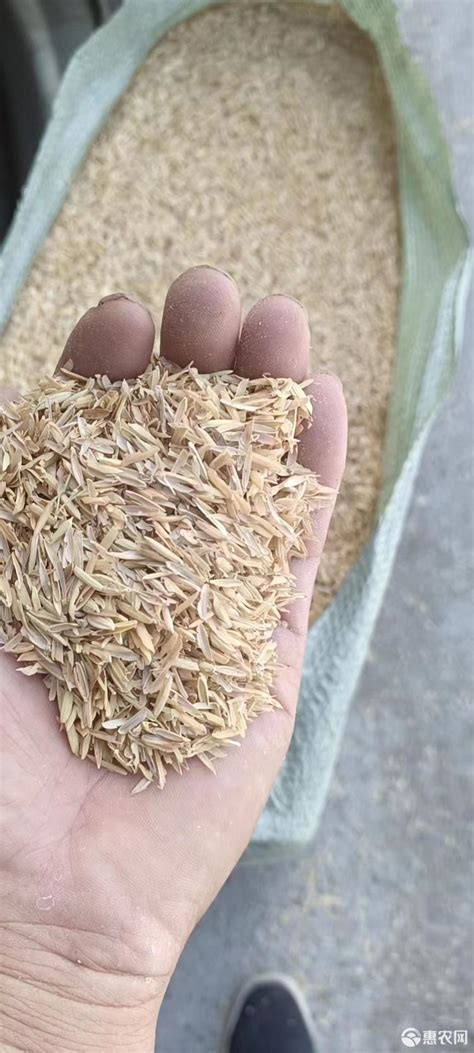 [谷壳稻谷壳批发]长期大量供应压缩谷壳，适应于养殖、种植、加工等价格550元/吨 - 惠农网