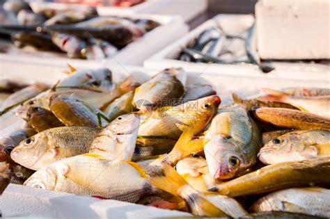 在鱼贩户外海鲜市场出售的一堆新鲜鱼高清图片下载-正版图片505817876-摄图网