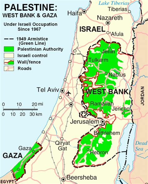 巴勒斯坦面积约多少（巴勒斯坦国家有多大） | 说明书网
