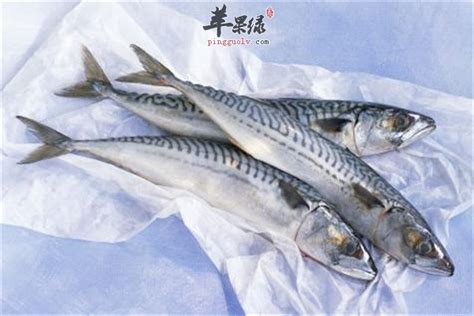 鲭鱼的营养价值_鲭鱼的做法_家居百科_太平洋家居网