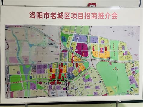 河南省洛阳都市圈发展规划（2020-2035） 专业代写|项目可行性研究报告|可研报告|节能评估报告|商业计划书|项目建议书|可行性报告|项目报告