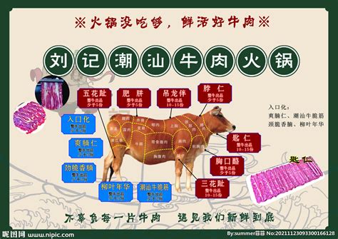 牛肉火锅 菜单 牛肉部位 吃法设计图__广告设计_广告设计_设计图库_昵图网nipic.com
