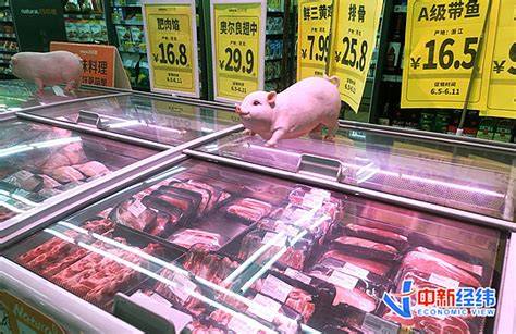 未来猪肉价格走势如何 取决于猪肉供应是否有保障-中国项目城网