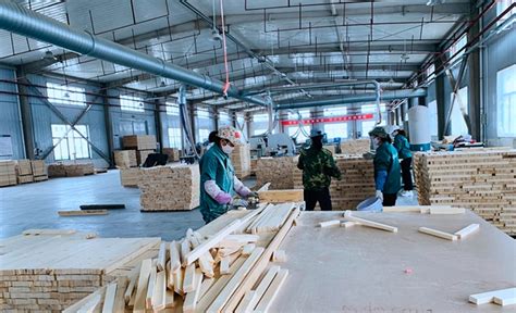 木材公司宣传册图片_木材公司宣传册设计素材_红动中国