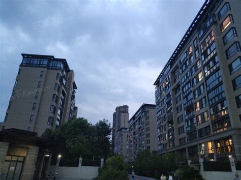 【上海陆家嘴中央公寓小区,二手房,租房】- 上海房天下