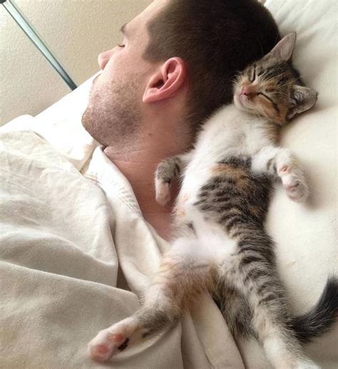 “猫咪喜欢趴在主人胸口上睡觉”，这种行为背后，藏着什么秘密？_时候