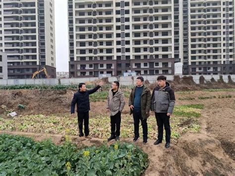 怀宁县高河镇启动重点工程建设工作