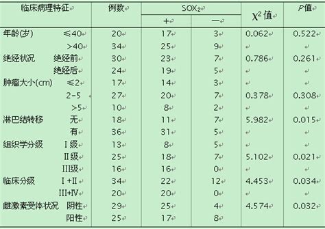 SOX2在乳腺癌组织中的表达与临床病理特征关系的研究--中国期刊网