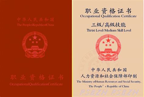 一级图片