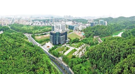 深圳市大浪电子科技有限公司 - 企查查