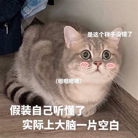 嗯嗯表情包图片