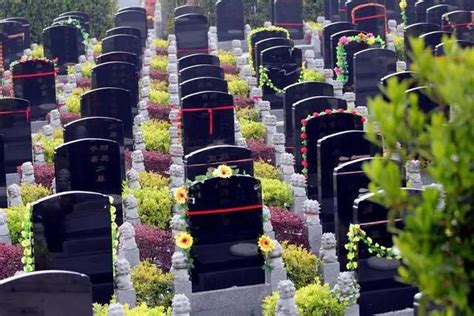 殡葬管理有新规，对部分生活困难群众，可以提供免费殡葬服务！-来选墓网