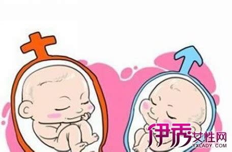 【双胞胎怎样判断龙凤胎】【图】双胞胎怎样判断龙凤胎 如何判断怀的是双胞胎(3)_伊秀亲子|yxlady.com