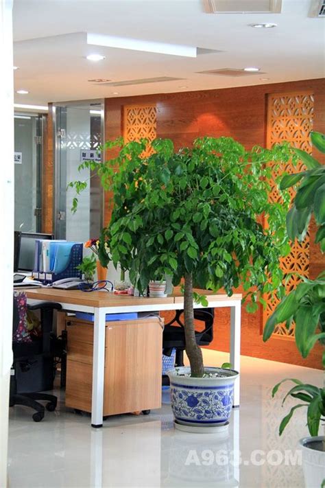 新朝阳总部空间设计 - 办公空间 - 恒泽上品建筑装饰设计工程有限公司设计作品案例