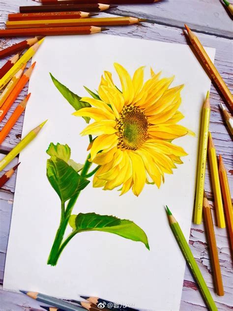 【水彩】向日葵:sunflower:|纯艺术|绘画|若汐绘 - 原创作品 - 站酷 (ZCOOL)