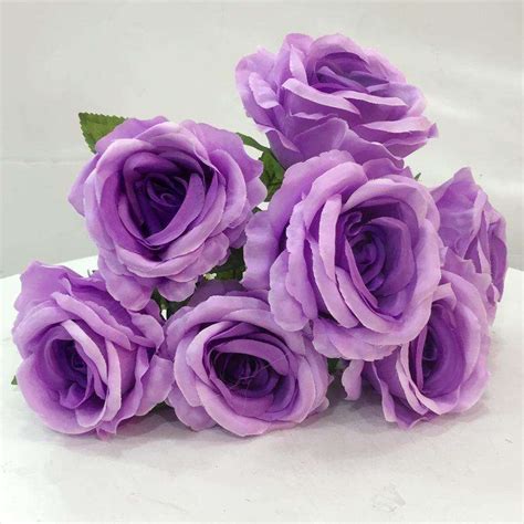 紫色康乃馨的寓意是什么 —【发财农业网】