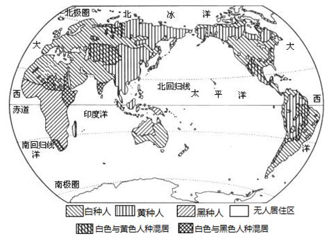 世界人种分布图图片