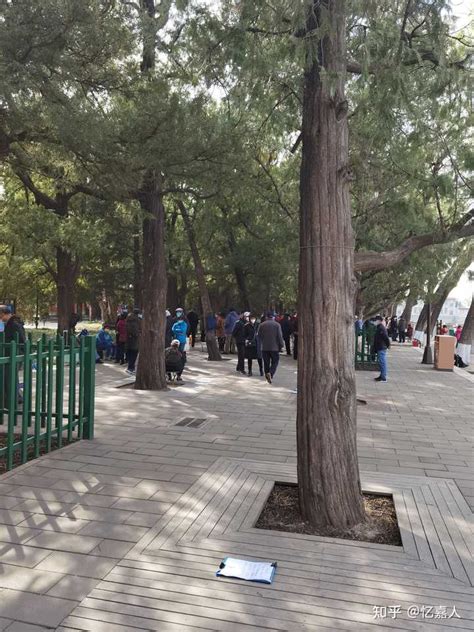 北京公园相亲角:外地家长越来越多 成功率很低_手机新浪网