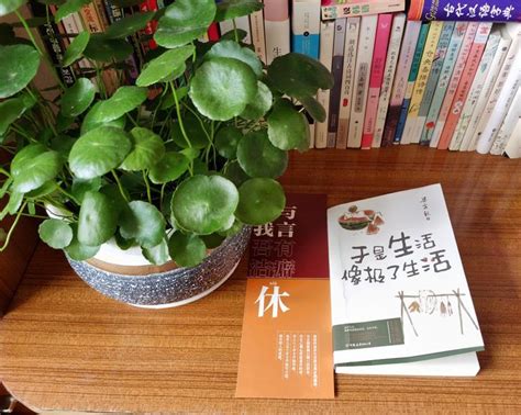 《从四合院开始的平淡生活》小说在线阅读-起点中文网