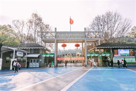 南京红山动物园 - 知乎