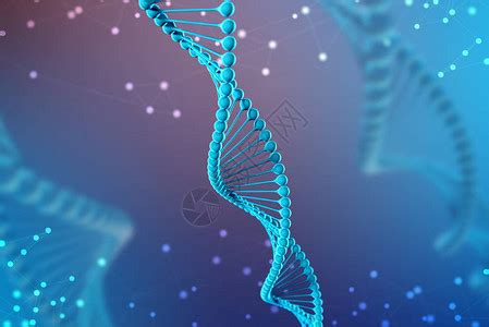 DNA分子玻璃模型的3d插图概念人类基因组的特写图片素材-正版创意图片503456662-摄图网