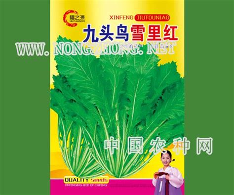 黄虎皮柿子-吉林省鑫丰蔬菜种子商店-农种网