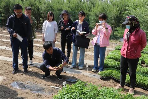 全国农技推广中心调研我市大豆玉米带状复合种植_滁州市农业农村局