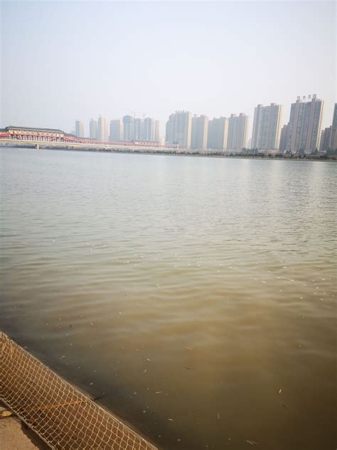 2019咸阳湖景区-旅游攻略-门票-地址-问答-游记点评，咸阳旅游旅游景点推荐-去哪儿攻略